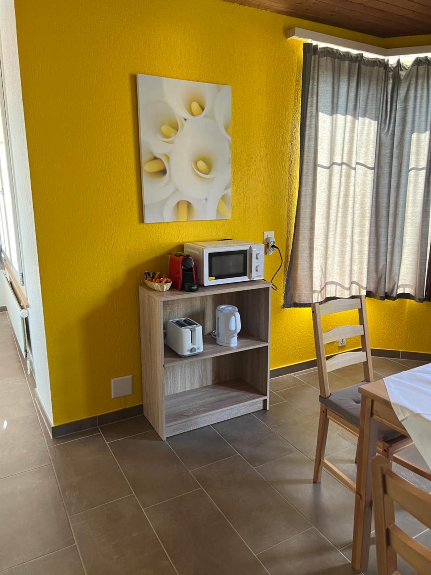 Apartament Rosy Interlaken Extérieur photo