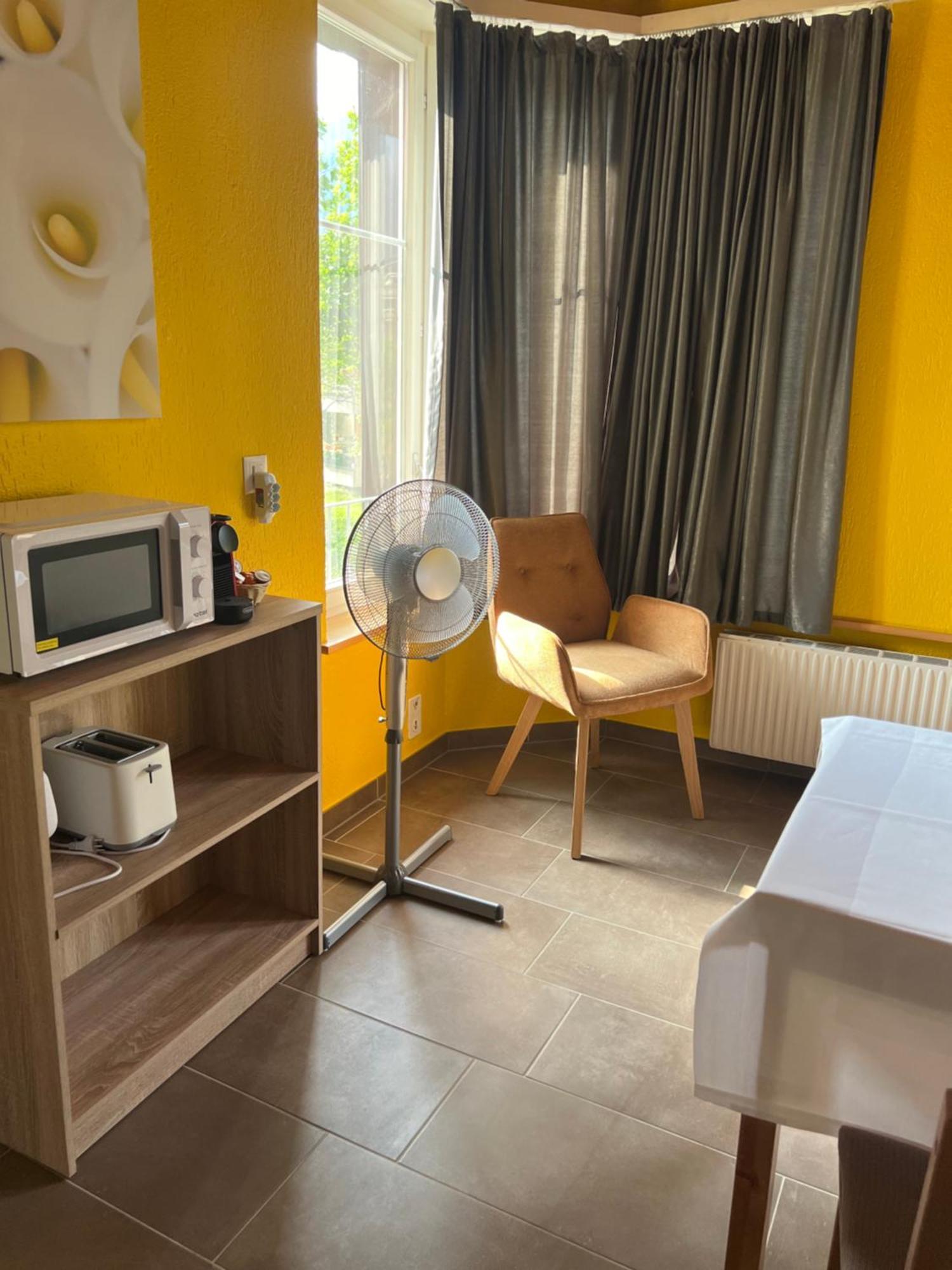 Apartament Rosy Interlaken Extérieur photo
